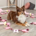 Bild 2 von Trixie Hundespielzeug Valentines Strauß