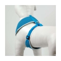 Bild 4 von Pet-Star Softgeschirr / Netzgeschirr - Blau  / (Variante) M