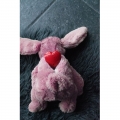 Bild 2 von Cozy Dog Bunny mit Herzschlag und Wärmekissen  / (Variante) Blau