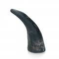 Bild 2 von Viking Whole Horn  / (Variante) S