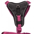 Bild 2 von Trixie Premium Y-Geschirr - orchidee  / (Variante) 30-37 cm/10 mm