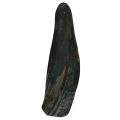 Bild 2 von Viking twist Horn  / (Variante) S